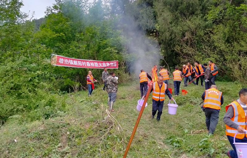 四川三农新闻网绵阳讯(通讯员 蒲宜辉"叮铃铃…叮铃铃"盐亭县