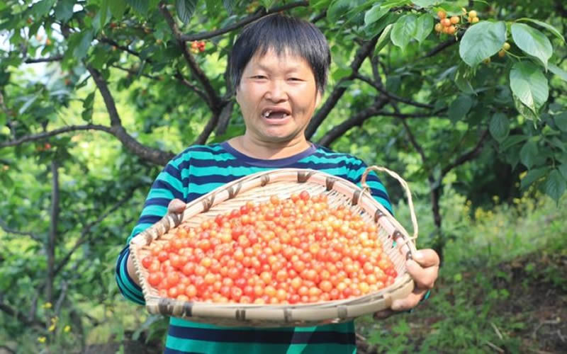 未命名-1.jpg