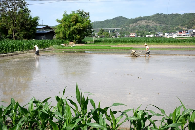 未命名-1.jpg