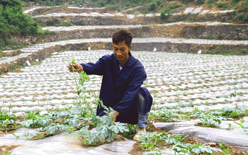 未命名-1.jpg