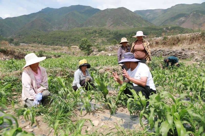 未命名-1.jpg