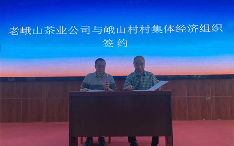 未命名-1.jpg