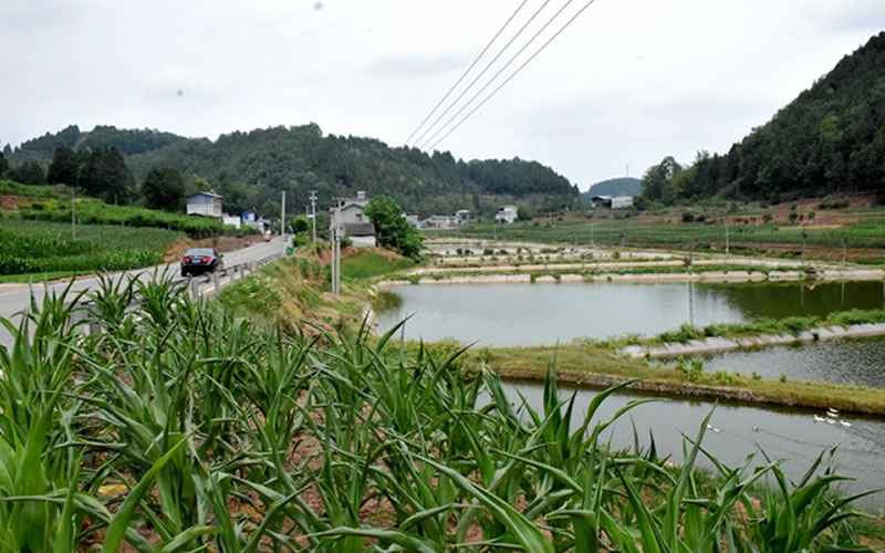 未命名-1.jpg