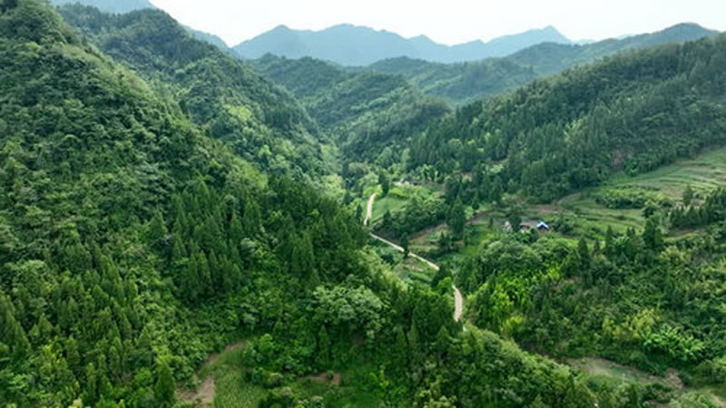 未命名-1.jpg