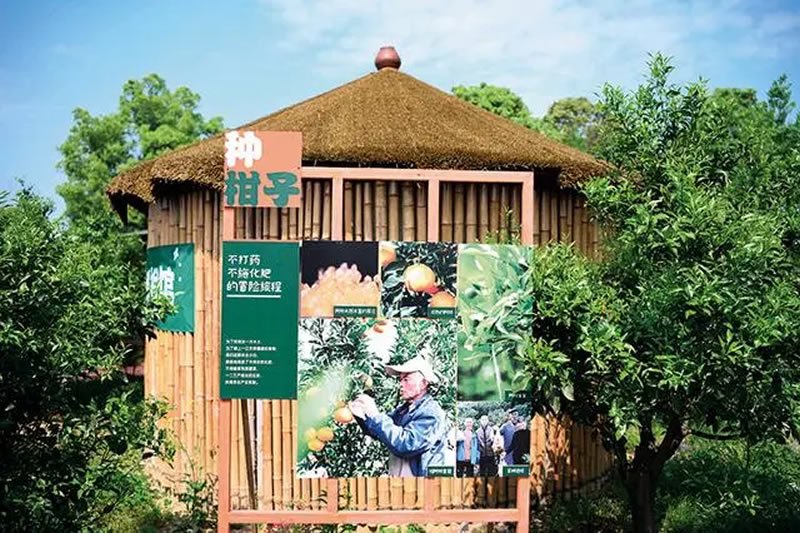 未命名-1.jpg