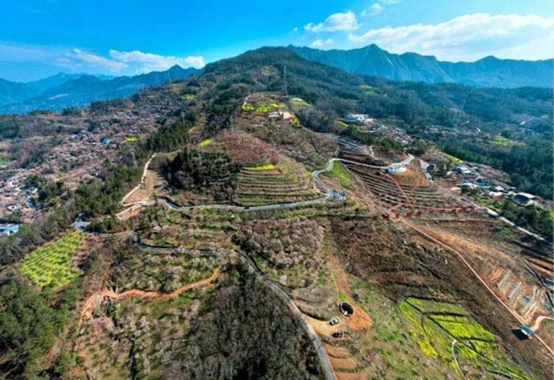 未命名-1.jpg