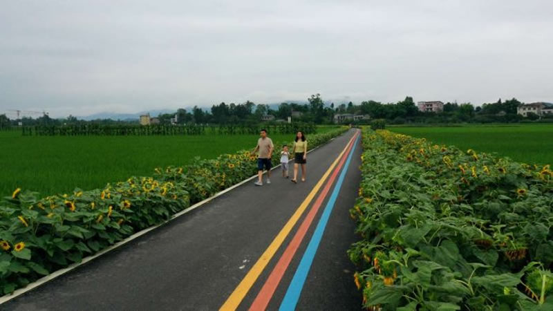 未命名-1.jpg