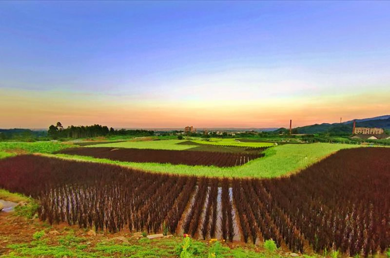 未命名-1.jpg