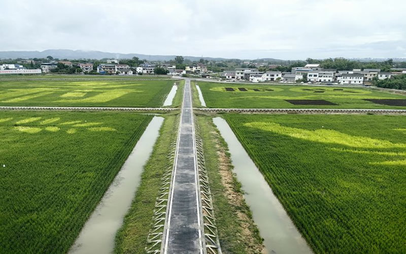 未命名-1.jpg