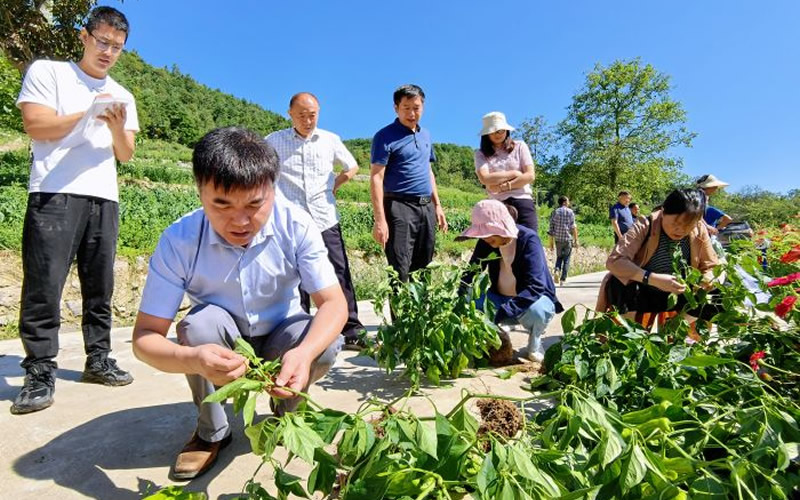 未命名-1.jpg