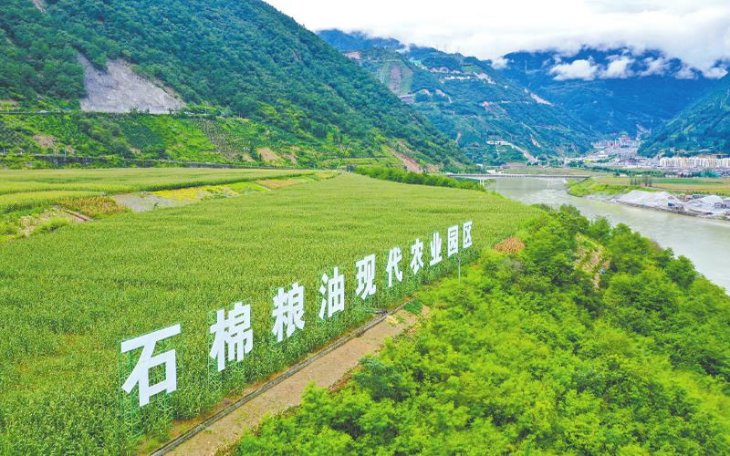 未命名-1.jpg