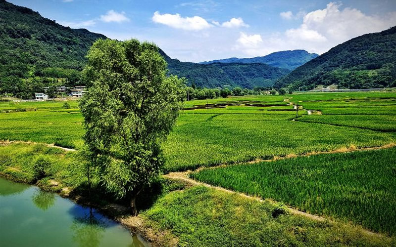 未命名-1.jpg