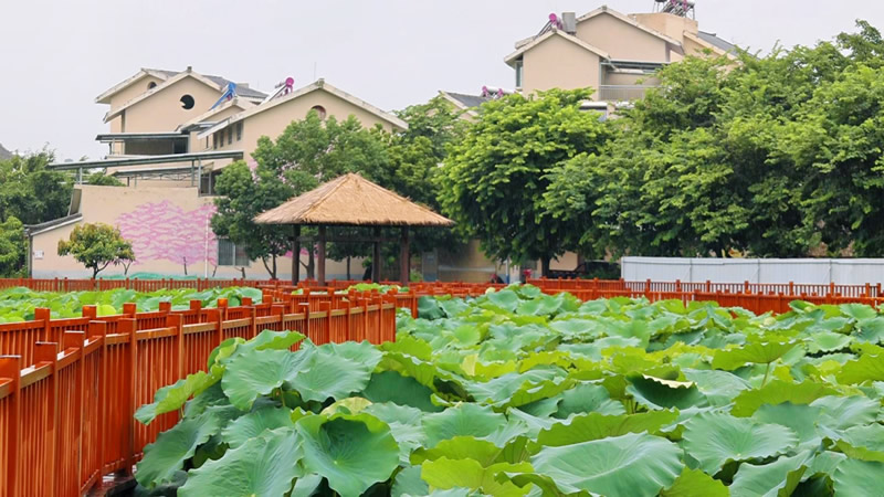 未命名-1.jpg