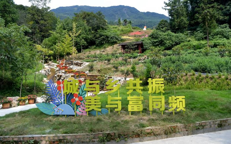 未命名-1.jpg