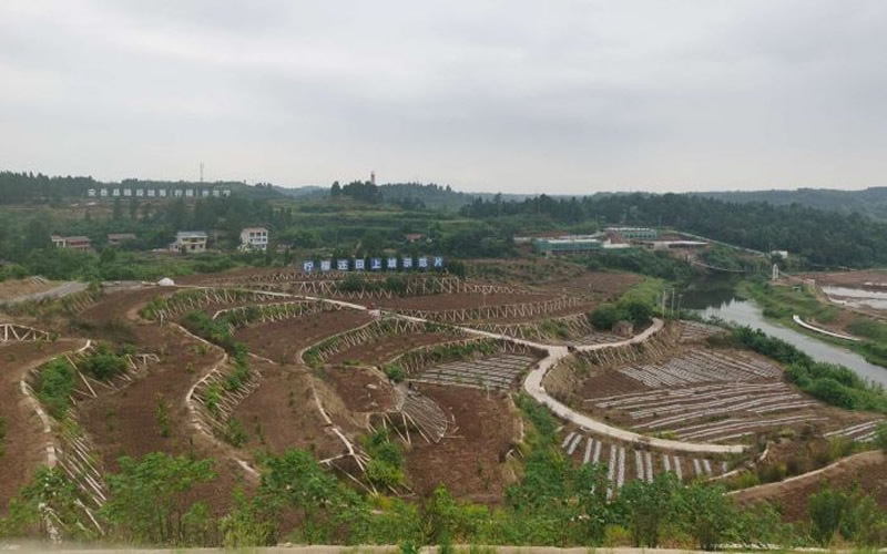 未命名-1.jpg