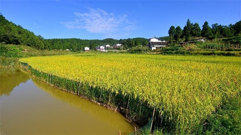 未命名-1.jpg