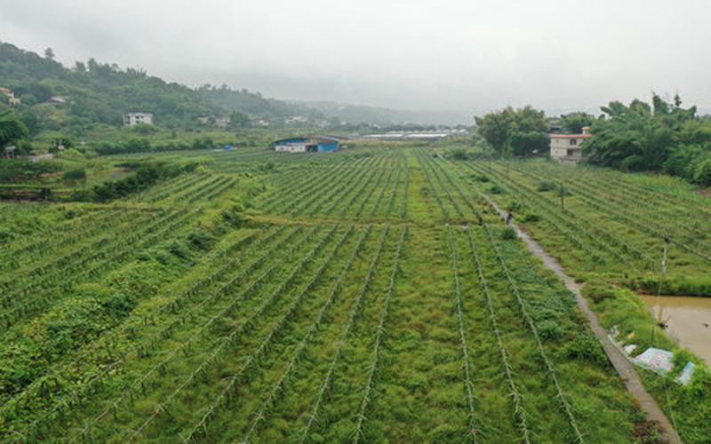 未命名-1.jpg