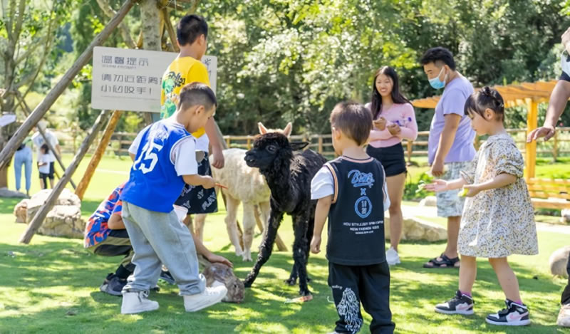 未命名-1.jpg