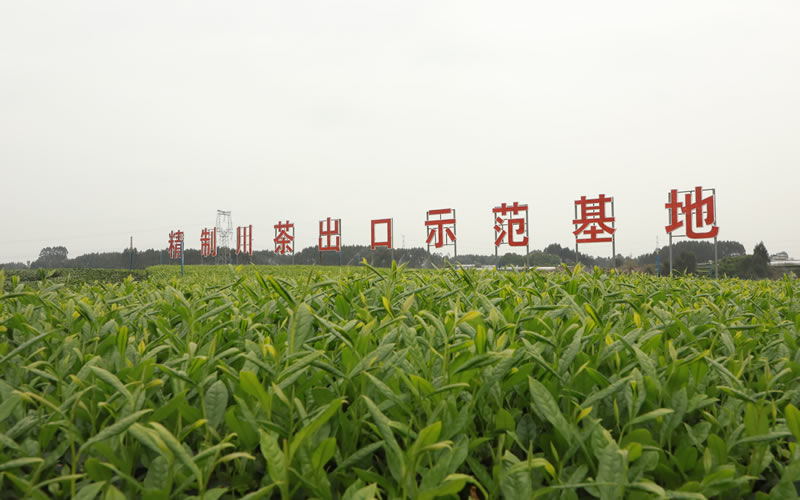 未命名-1.jpg