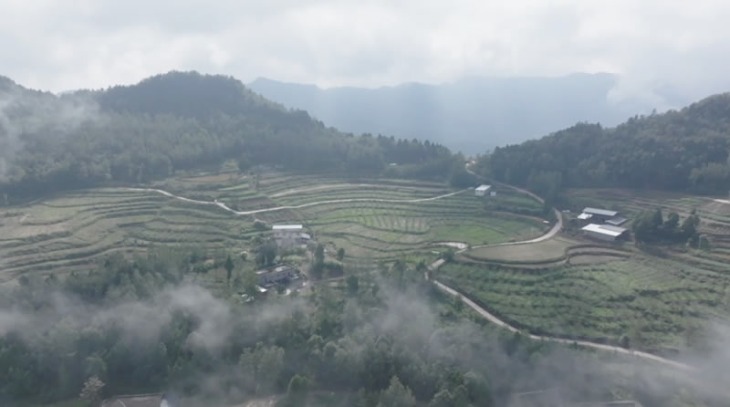 未命名-1.jpg