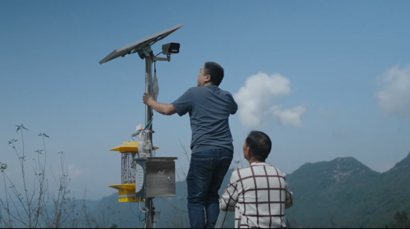 未命名-1.jpg