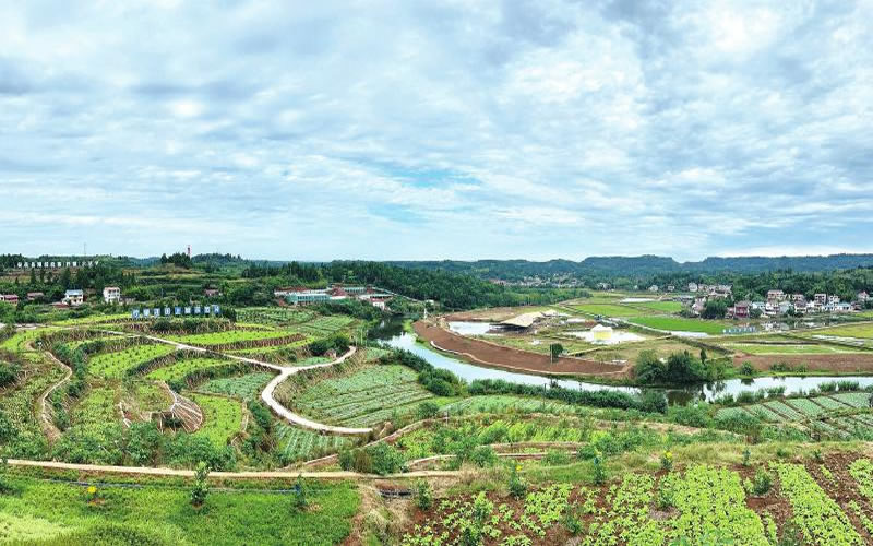 未命名-1.jpg