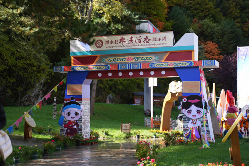 未命名-1.jpg
