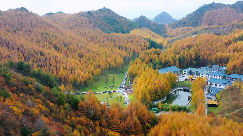未命名-1.jpg