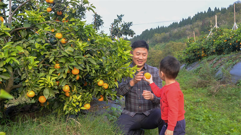 未命名-1.jpg