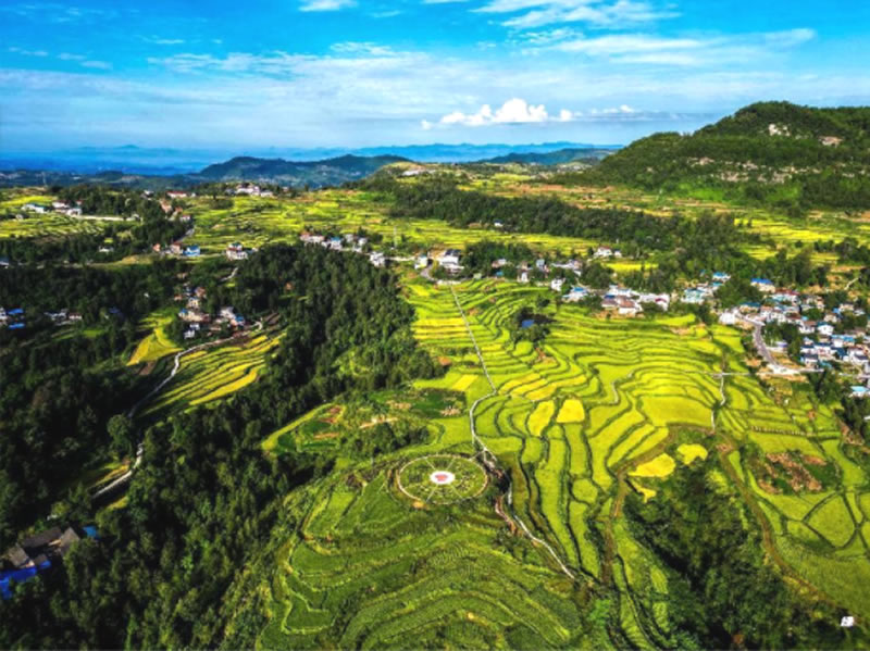 未命名-1.jpg