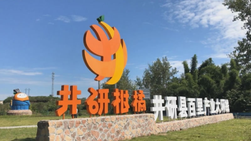 未命名-1.jpg