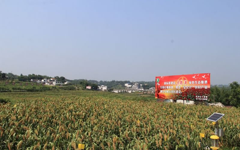 未命名-1.jpg