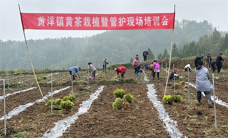 未命名-1.jpg