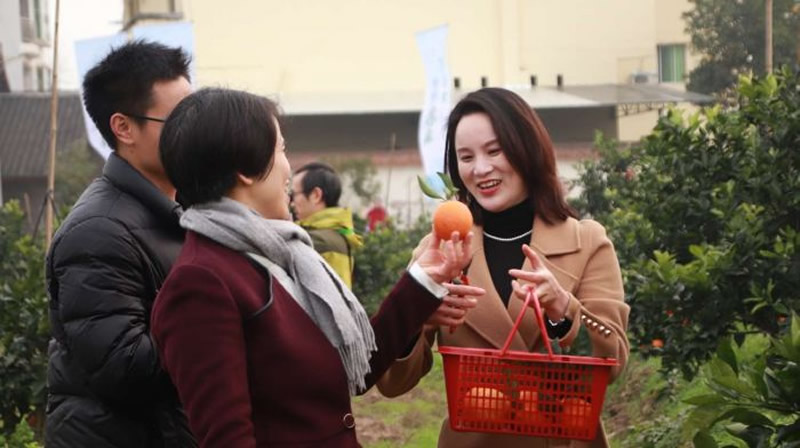 未命名-1.jpg