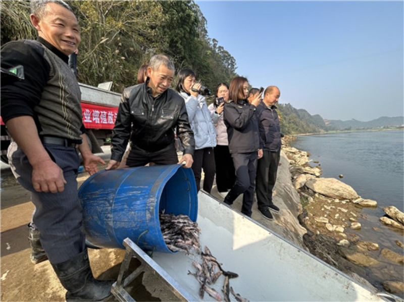 未命名-1.jpg