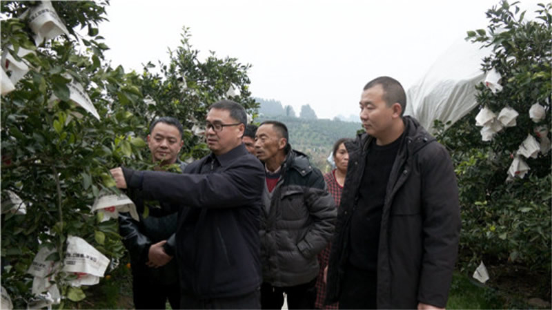 未命名-1.jpg