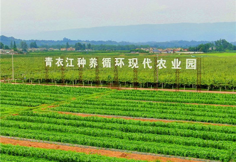 未命名-1.jpg