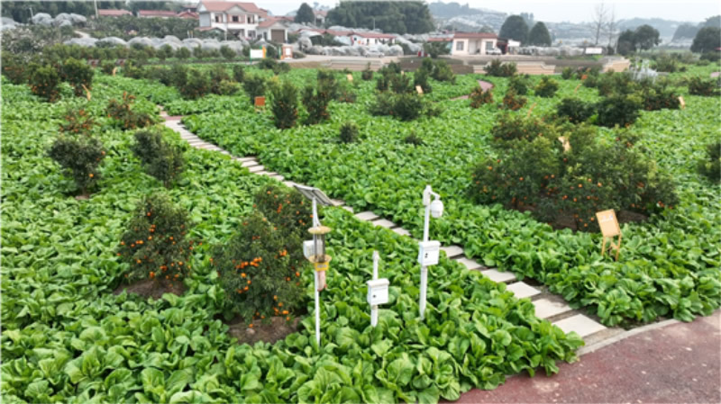 未命名-1.jpg