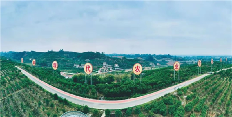 未命名-1.jpg