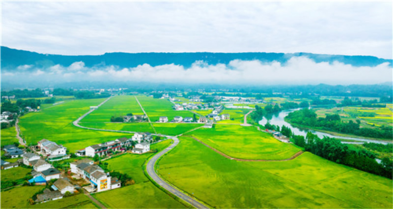 未命名-1.jpg