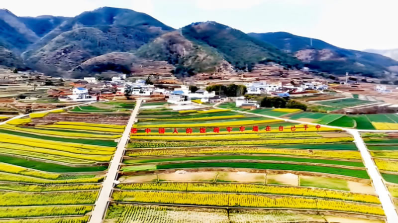 未命名-1.jpg