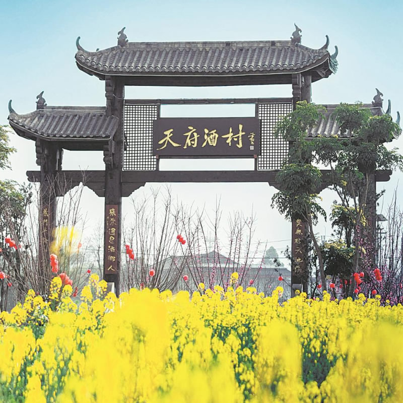 未命名-1.jpg