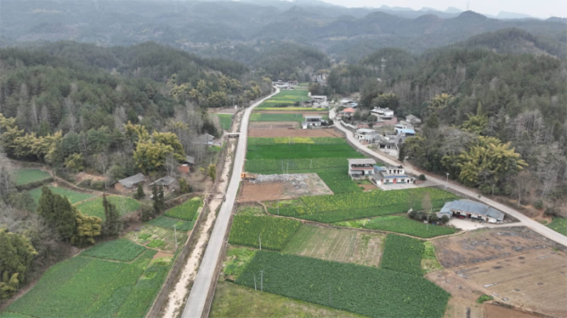 未命名-1.jpg