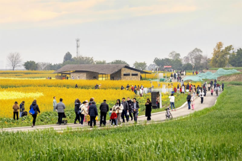 未命名-1.jpg