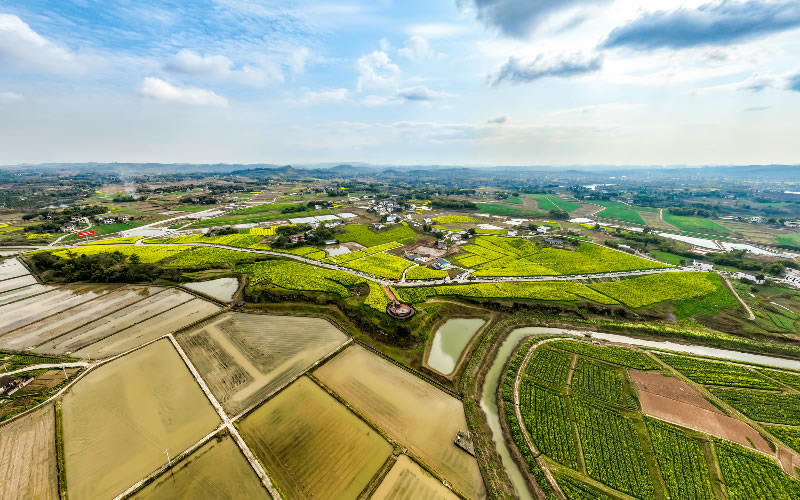 未命名-1.jpg