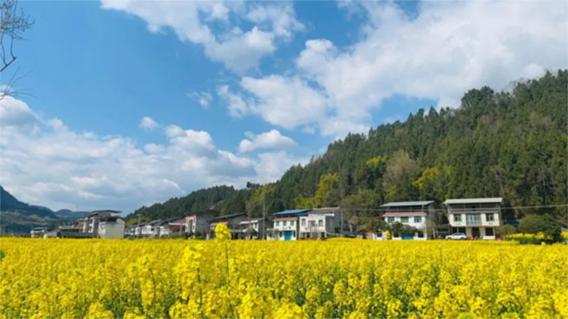 未命名-1.jpg