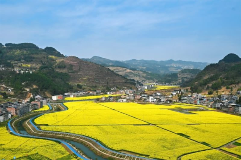 未命名-1.jpg