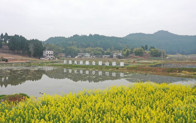 未命名-1.jpg