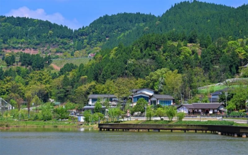 未命名-1.jpg