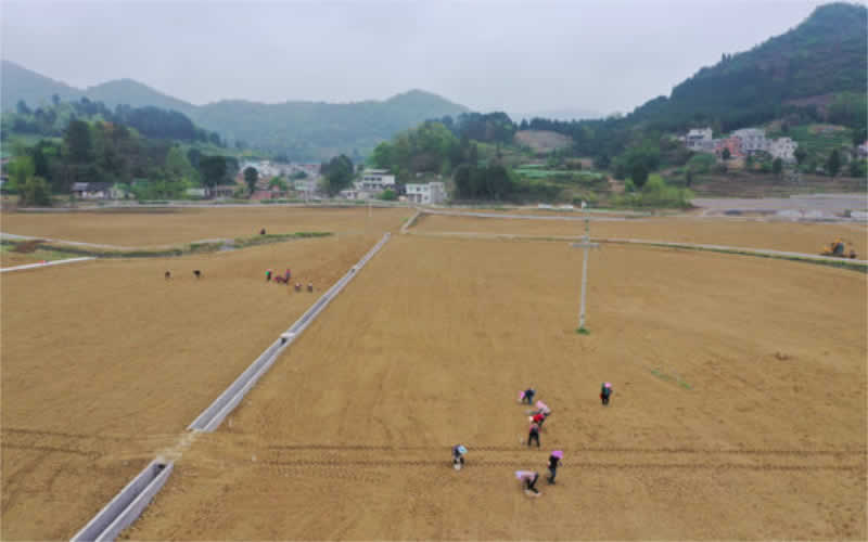 未命名-1.jpg